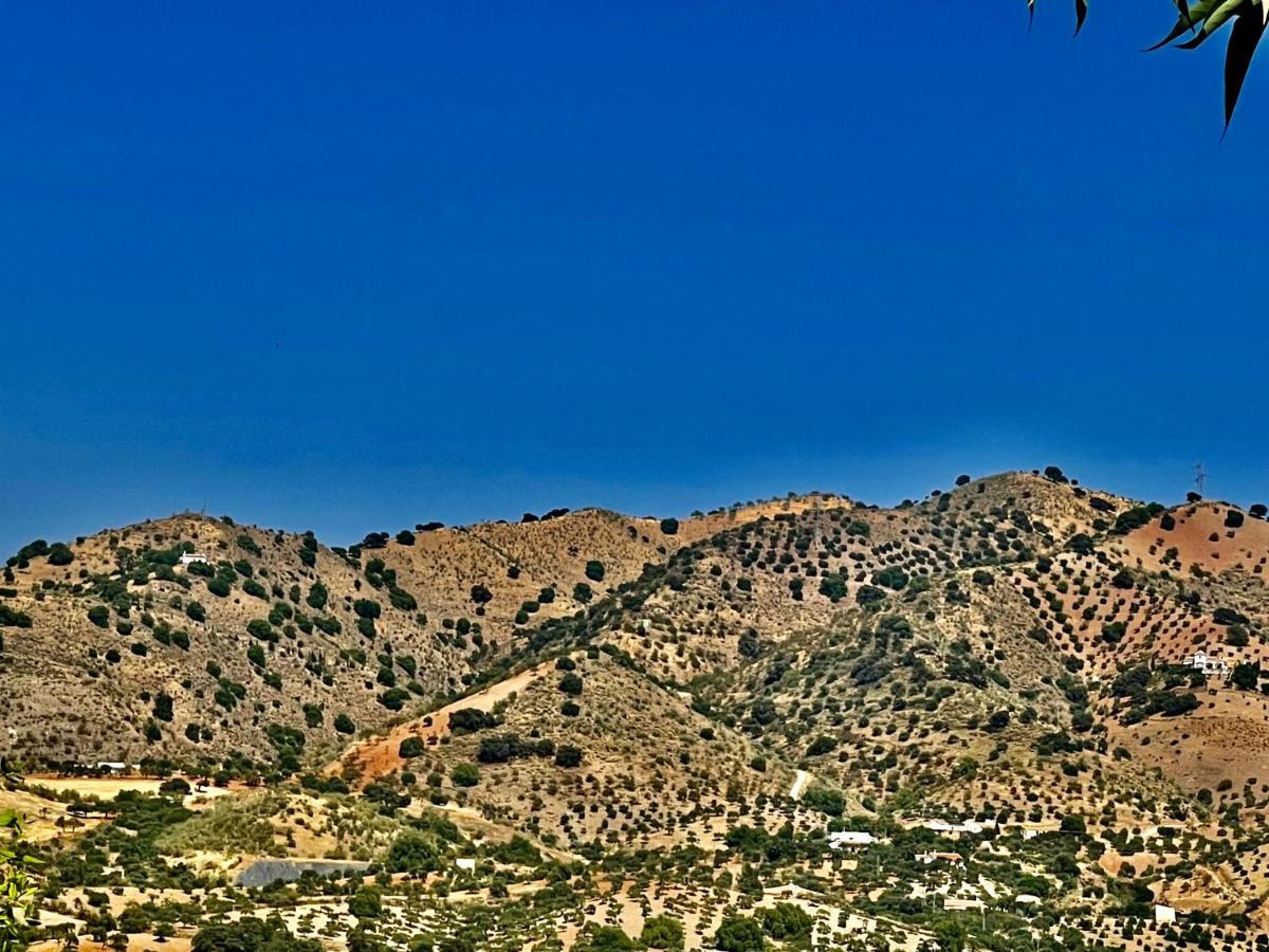 Finca Limoneros Apartamento Álora Exterior foto